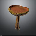 Mushroom Organ Structure With Red Cap Yellow Edge And Hair Like Texture