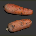 Fresh Orange Carrots with Natural Soil Marks on Dark Background 3d model