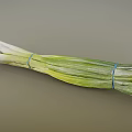 Fresh Green Onions Bunch With Vibrant Green And White Stalks On White Background