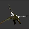 White Bird with Orange Beak Perched on Mossy Twiggy Branch Gray Background