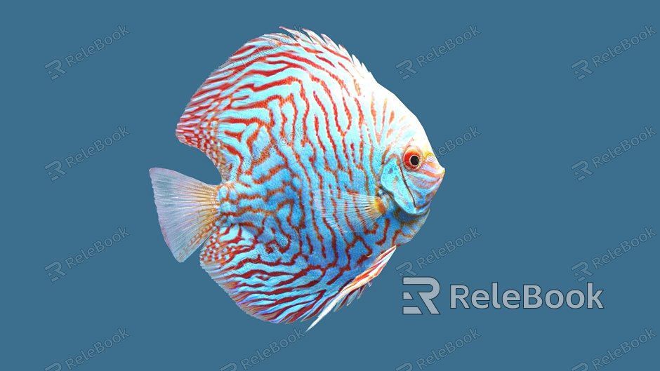 Colorful Fish Marine Life Ornamental Fish model