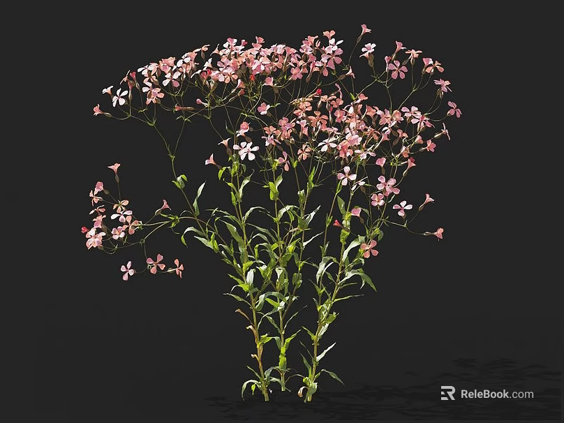 Pink Small Flowers Bunch With Green Stems And Leaves On Black Background 3d model 