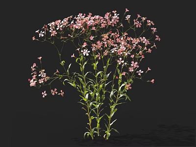 Pink Small Flowers Bunch With Green Stems And Leaves On Black Background 3d model