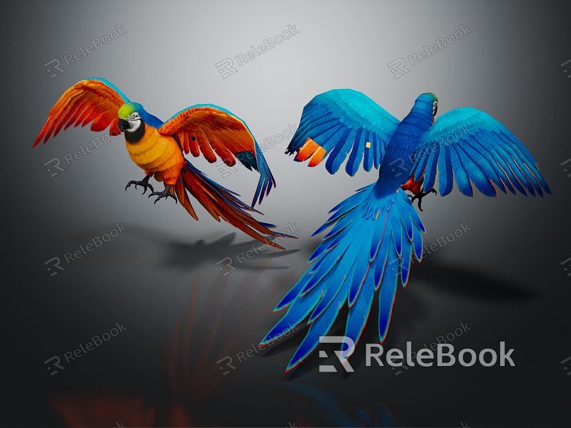 Bird Xuan Feng Parrot Birds model