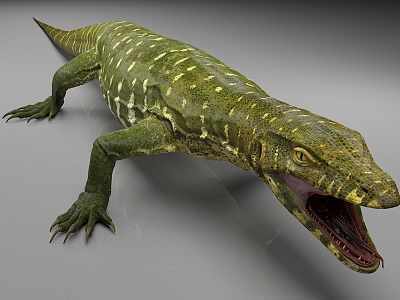 Lizard Giant Lizard Animal 3d model