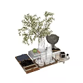 Elegant Decorative Ornament Set with Glass Vase Green Plant Books Candles Blueberries and Apple