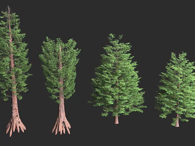 Arbor Trees In Various Forms With Detailed Trunks And Lush Green Canopies 3d model