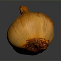 Ripe Yellow Onion With Textured Outer Skin On Dark Reflective Surface
