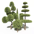 Topiary Trees With Various Trimmed Shapes And Lush Green Foliage For Garden