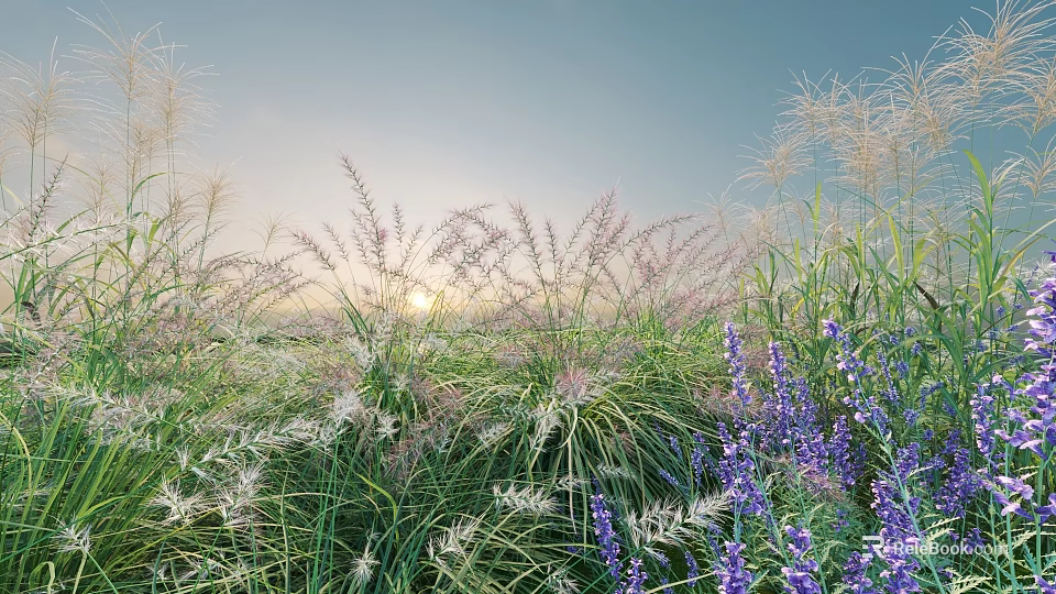 Vibrant Purple Flowers And White Grasses In Field Under Blue Sky With Sunrise Sunlight 3d model 
