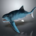 Realistic Spotted Blue And White Shark With Open Mouth Sharp Teeth Fins And Tail