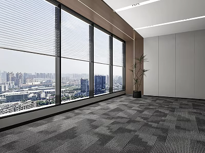 Office Curtain Wall Window Blinds Curtain Carpet 3d model