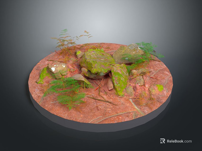 Natural Stone Wood Scene With Green Plants On Circular Red Platform Surface 3d model 