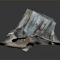Natural Wood Stone Material With Unique Texture And Raw Organic Form
