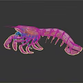 3D Rendered Light Colored Shrimp With Shiny Exoskeleton On Dark Background