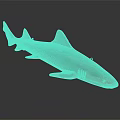 Spotted Shark 3D Rendered Model With Detailed Body Patterns And Smooth Texture 3d model