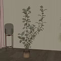 Tall Indoor Potted Plant With Lush Green Leaves In Modern Room With Light Wooden Floor
