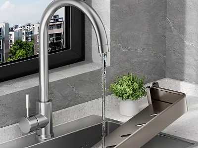 Modern Kitchen Sink Design With Chrome Faucet Green Plant And Gray Wall 3d model