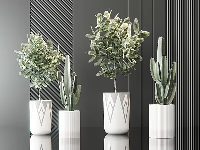 Stylish Bonsai And Cactus Potted Plants In White Geometric Pattern Planters On Dark Background 3d model
