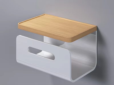 Wall Mounted Household Supplies Storage Organizer With Wooden Top And White Frame 3d model