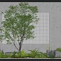 Indoor Landscape Design With Gray Wall Grid Patterned Backdrop Tall Tree Green Plants And Pebbles 3d model