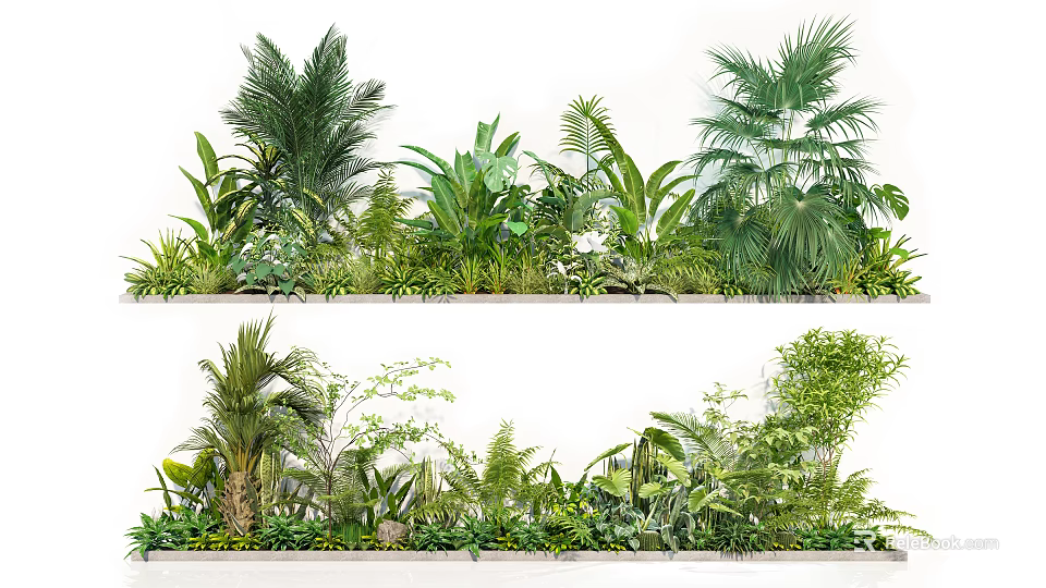 Lush Indoor Green Plant Wall With Various Tropical Ferns And Palm Leaves 3d model 