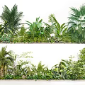 Lush Indoor Green Plant Wall With Various Tropical Ferns And Palm Leaves