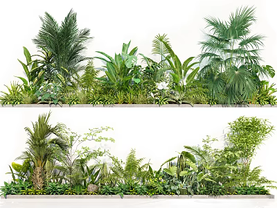 Lush Indoor Green Plant Wall With Various Tropical Ferns And Palm Leaves 3d model