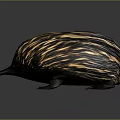 Echidna With Striped Fur Long Snout And Sharp Claws On Gray Background 3d model