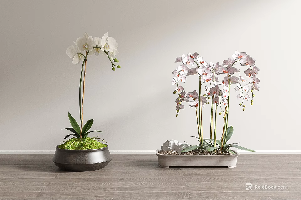 Bonsai Potted Orchid Plants With White And Pink Red Spotted Blooms In Decorative Metal Containers 3d model 