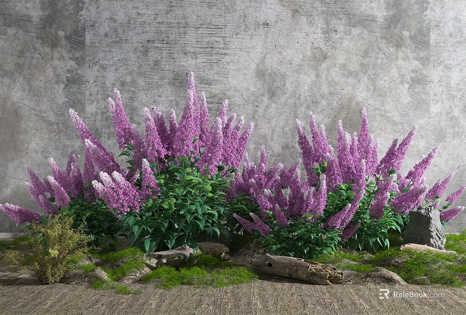 Growing Vibrant Purple Flowers with Lush Green Leaves Against Gray Wall Wooden Logs and Moss 3d model 
