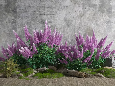 Growing Vibrant Purple Flowers with Lush Green Leaves Against Gray Wall Wooden Logs and Moss 3d model
