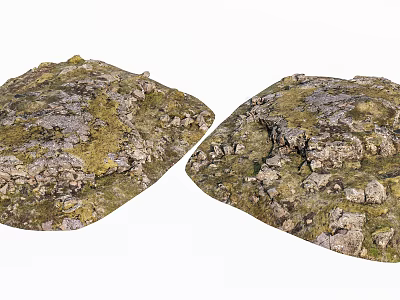 Natural Stone And Wood Textured Surfaces With Mossy Rustic Finish 3d model
