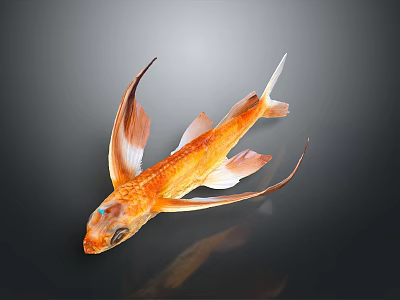 Golden Fish Sculpture Carving With Wing Like Fins And Shiny Scales On Dark Background 3d model