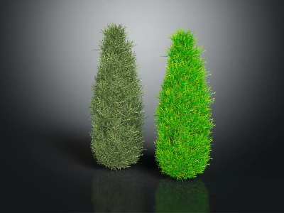 Two Conical Dark Green and Bright Green Plants on Dark Reflective Background Surface 3d model