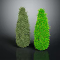 Two Conical Dark Green and Bright Green Plants on Dark Reflective Background Surface