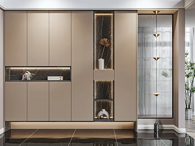 Modern Elegant Shoe Cabinet Design For Home Interior With Storage Display Shelves And LED Lighting 3d model