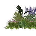 Garden Plant Combination with Purple Flowers Pink Blooms Ferns and Large Leaves