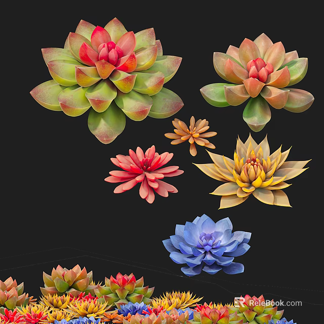 Colorful Succulent Plants With Rosette Shapes And Vibrant Red Green Yellow Blue Hues 3d model 