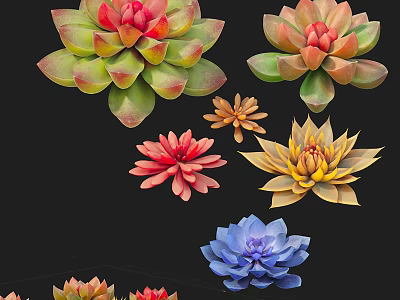 Colorful Succulent Plants With Rosette Shapes And Vibrant Red Green Yellow Blue Hues 3d model