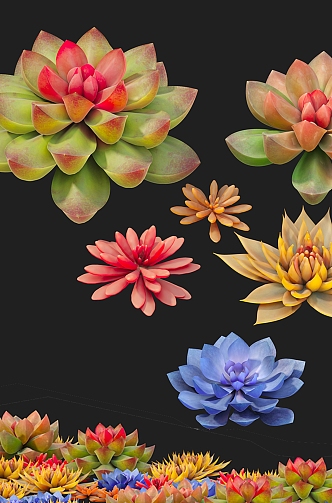 succulents 3d model