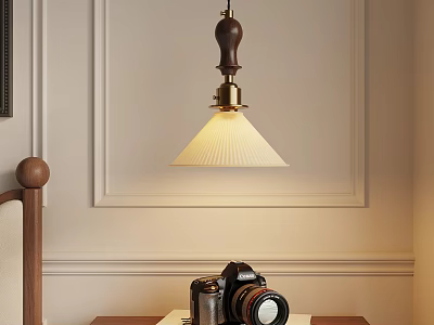 Vintage Pendant Light Hanging Over Retro Camera On Bedside Table With Wall Decor 3d model