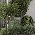 Living Plant Wall with Circular Green Decorations on Gray Concrete Wall and Surrounding Potted Plants