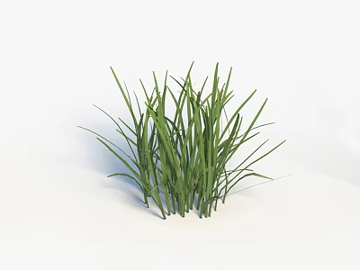 Grass 3d model Grass 3d model