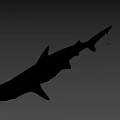 Detailed Realistic Shark 3D Model With Lifelike Features On Gray Background