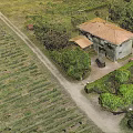 Scenic Rural Landscape With Vineyard Fields Farmhouse Green Trees And Country Path