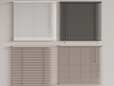 Modern shutter model