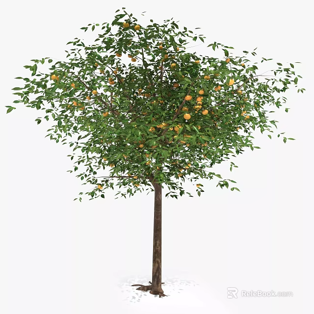 Healthy Citrus Tree With Ripe Orange Fruits And Green Leaves 3d model 