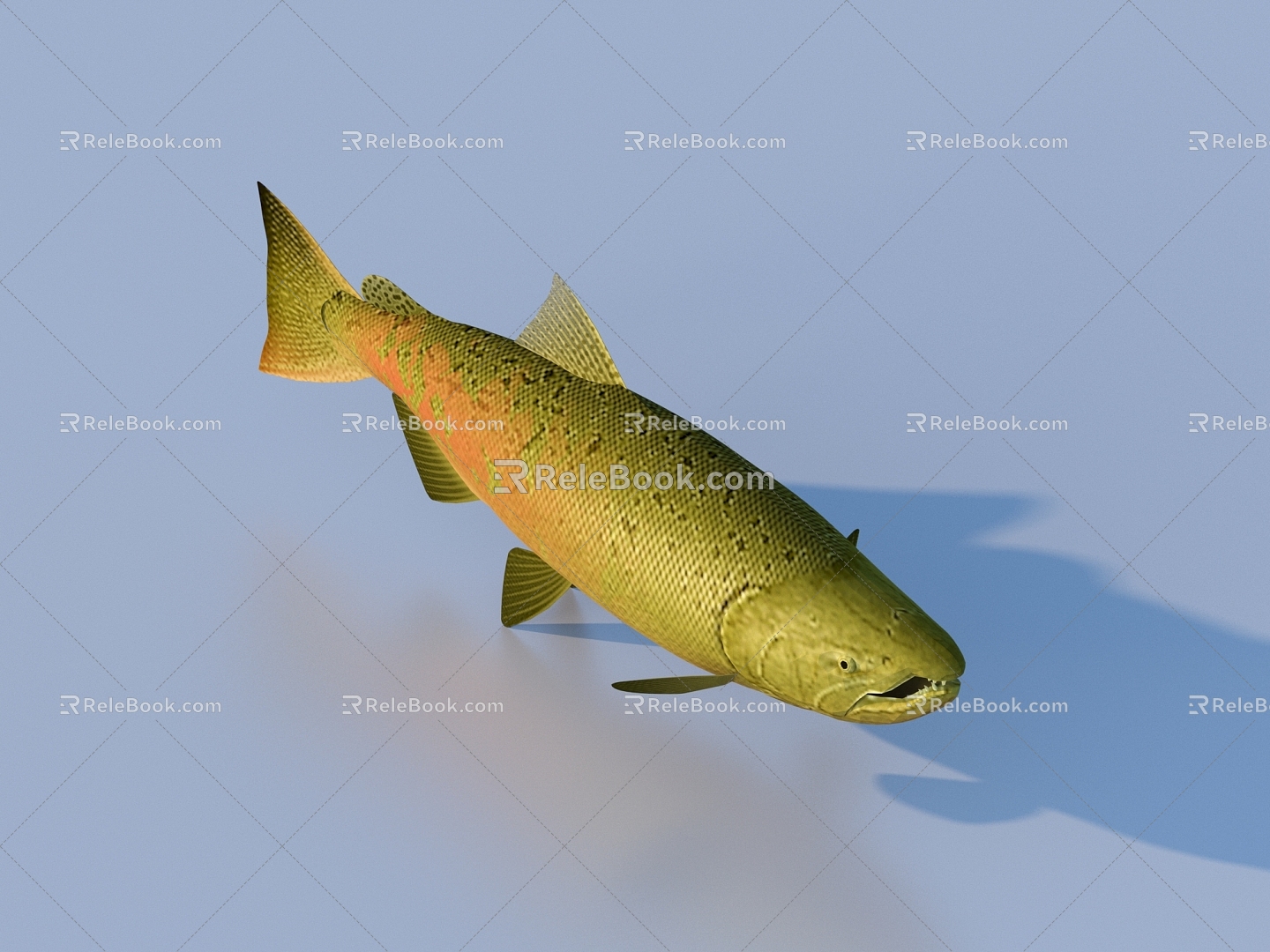 fish freshwater fish aquatic animal 3d model