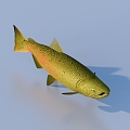 fish freshwater fish aquatic animal 3d model